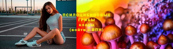 ГАЛЛЮЦИНОГЕННЫЕ ГРИБЫ Алексеевка