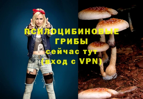 ГАЛЛЮЦИНОГЕННЫЕ ГРИБЫ Алексеевка