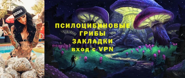 ГАЛЛЮЦИНОГЕННЫЕ ГРИБЫ Алексеевка