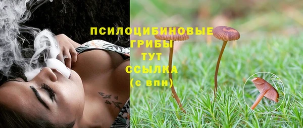ПСИЛОЦИБИНОВЫЕ ГРИБЫ Абинск