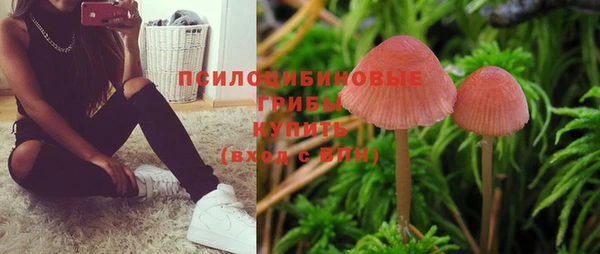 не бодяженный Горняк