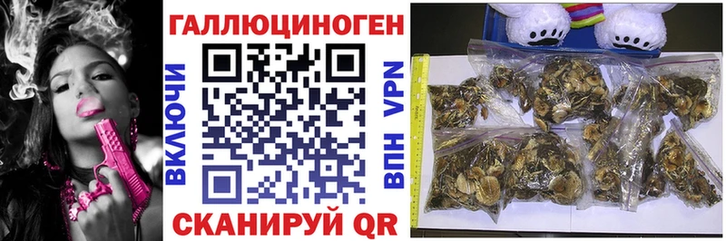 Псилоцибиновые грибы Psilocybine cubensis Фёдоровский